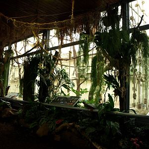 Cologne Zoo - Madagascar House