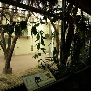 Cologne Zoo - Madagascar House