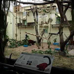 Cologne Zoo - Madagascar House