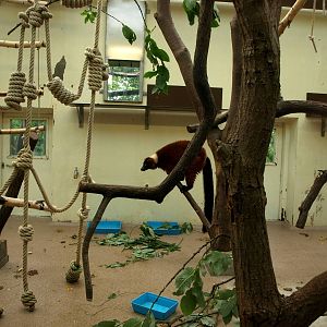 Cologne Zoo - Madagascar House