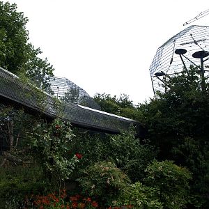 Cologne Zoo - Lemur cages