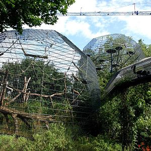 Cologne Zoo - Lemur cages