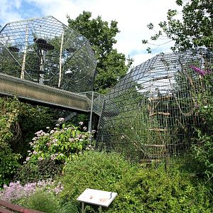 Cologne Zoo - Lemur cages
