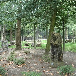 Himalayan Black Bear enclosure