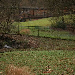 The patagonian exhibits