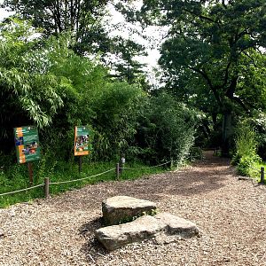 Duisburg Zoo - Lemur Island