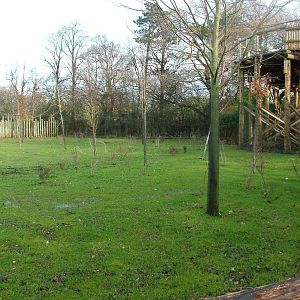 Extended Philippine Spotted Deer exhibit at Chester 06/12/09