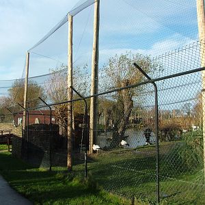 Pelican, stork and waterfowl exhibit at Chester 06/12/09