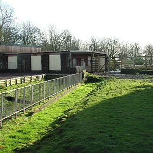Zebra and oryx yards at Chester 06/12/09