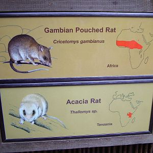 Signage example at Chester 06/12/09