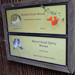 Signage example at Chester 06/12/09