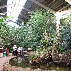 Tropical Realm at Chester 06/12/09