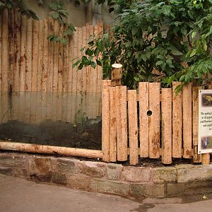 Alterations to the Tropical Realm at Chester 06/12/09