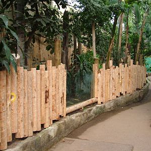 Alterations to the Tropical Realm at Chester 06/12/09