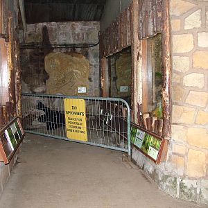 Alterations to the Tropical Realm at Chester 06/12/09