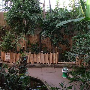 Alterations to the Tropical Realm at Chester 06/12/09