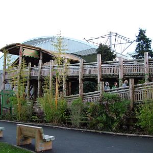 Realm of the Red Ape entrance ramp at Chester 06/12/09