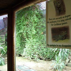 Future Iguana exhibits at Chester 06/12/09