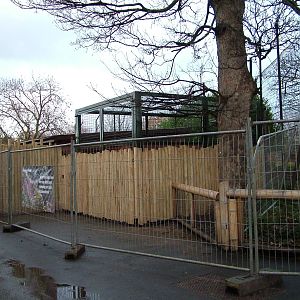 New tiger holding area at Chester 06/12/09