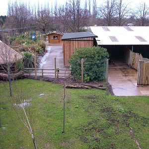 Extended Philippine Spotted Deer exhibit at Chester 06/12/09