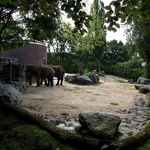 Duisburg Zoo - Elephant enclosure