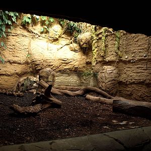 Duisburg Zoo - Giant river otter den