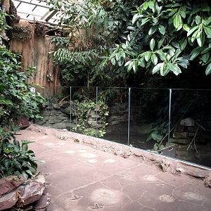 Duisburg Zoo - Crocodile exhibit