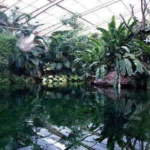 Duisburg Zoo - Rio Negro