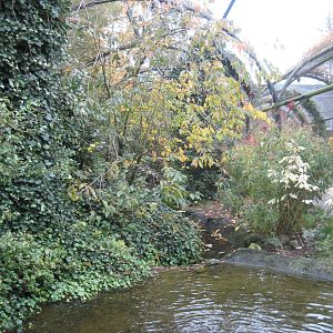 Aalborg Zoo - Aviary