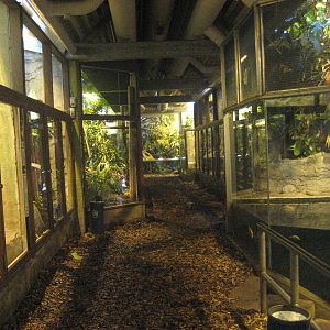 Aalborg Zoo - Tropical house