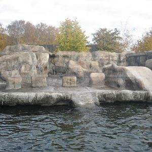 Aalborg Zoo - Sea lion exhibit