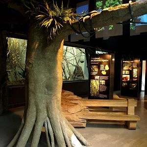 Copenhagen Zoo - World of Primates