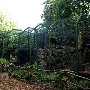 Duisburg Zoo - Ruffed lemur exhibits