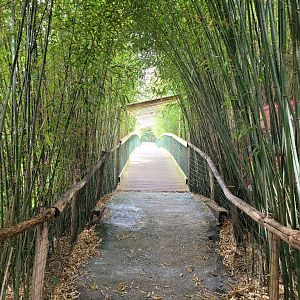 Back to the first broadwalk -Zoo du bassin d'Arcachon (2024)