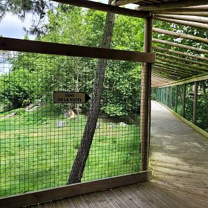 Broadwalk over white lions -Zoo du bassin d'Arcachon (2024)