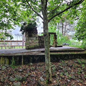 White lion exhibit -Zoo du bassin d'Arcachon (2024)