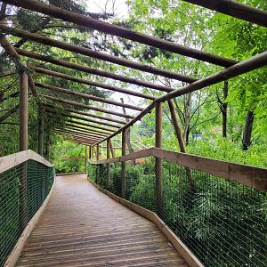 Broadwalk view -Zoo du bassin d'Arcachon (2024)