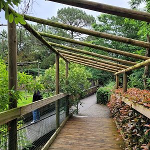 End of broadwalk -Zoo du bassin d'Arcachon (2024)