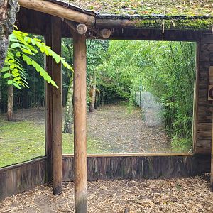 Eurasian lynx viewing area -Zoo du bassin d'Arcachon (2024)