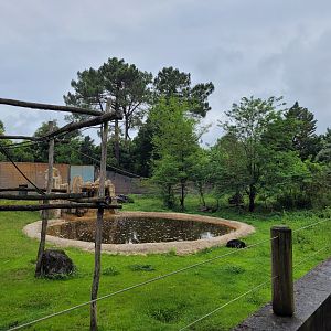 Asian black bear and American black bear exhibit -Zoo du bassin d'Arcachon (2024)