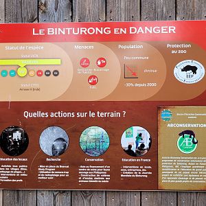Binturong sign -Zoo du bassin d'Arcachon (2024)