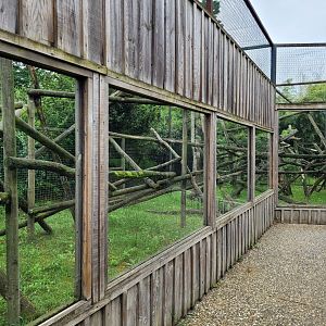 Binturong exhibit -Zoo du bassin d'Arcachon (2024)