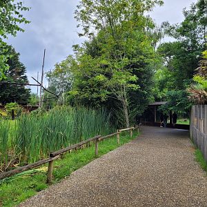 Road to tiger exhibits -Zoo du bassin d'Arcachon (2024)