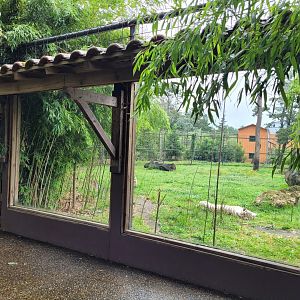 White tiger viewing area -Zoo du bassin d'Arcachon (2024)