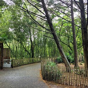 View -Zoo du bassin d'Arcachon (2024)