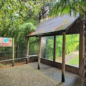 Sumatran tiger viewing area -Zoo du bassin d'Arcachon (2024)