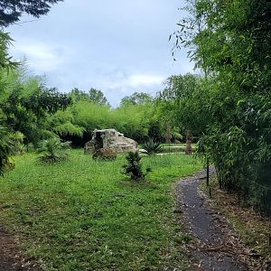 Sumatran tiger exhibit -Zoo du bassin d'Arcachon (2024)