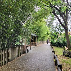 Road to second Sumatran tiger exhibit and Gorilla Camp -Zoo du bassin d'Arcachon (2024)