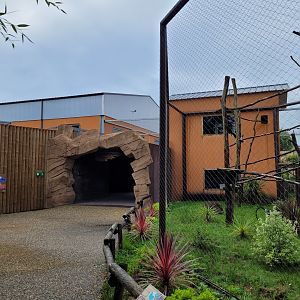 Gorilla Camp view -Zoo du bassin d'Arcachon (2024)