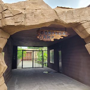 Gorilla Camp archway -Zoo du bassin d'Arcachon (2024)